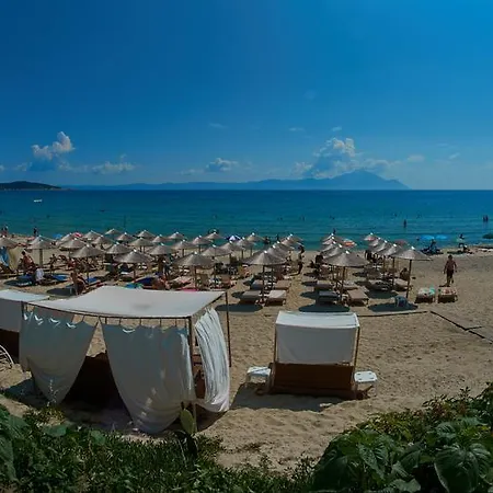 Paradise * Sarti
